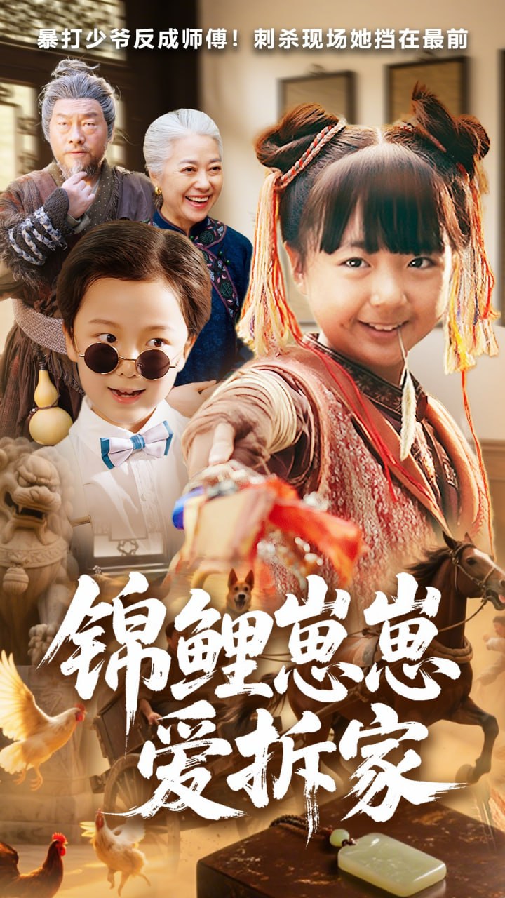 锦鲤崽崽爱拆家