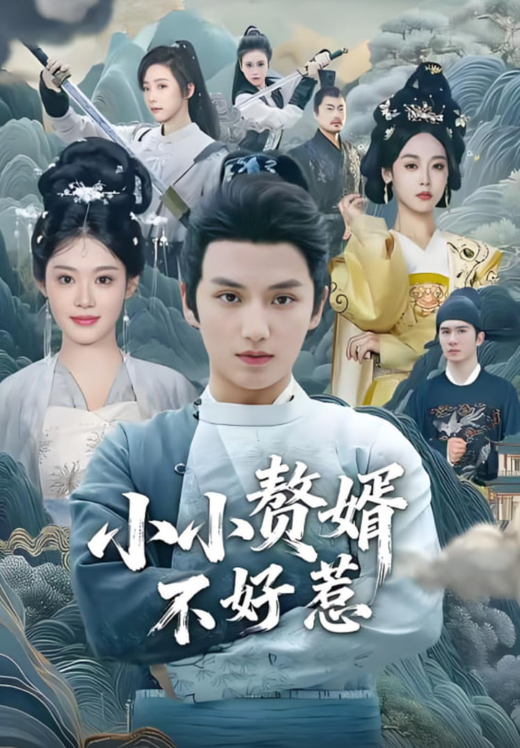 小小赘婿不好惹