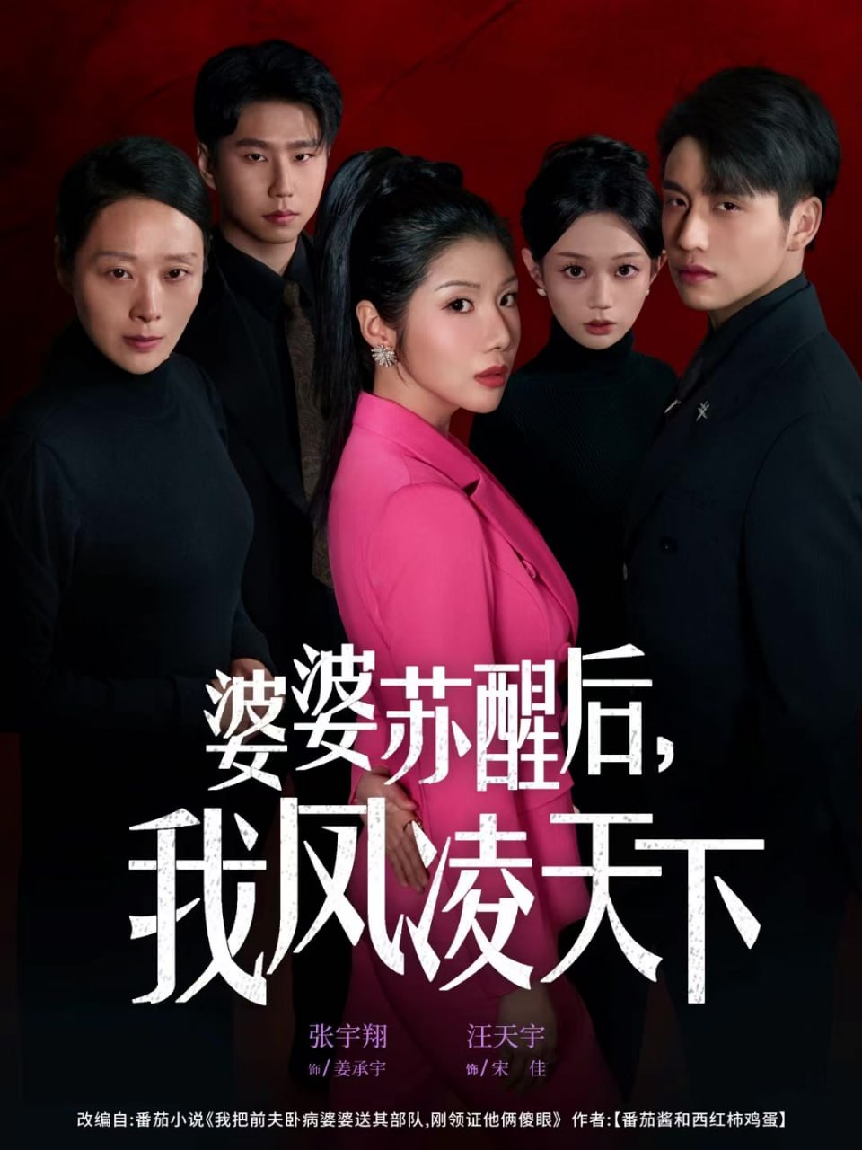 婆婆苏醒后，我凤凌天下