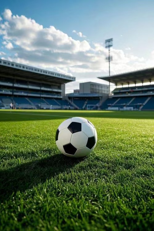 25-26赛季意甲第21轮全场回放：比萨1-1亚特兰大