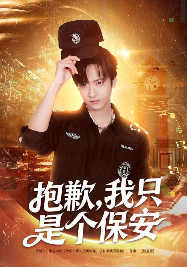 抱歉，我只是个保安