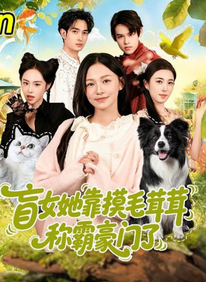 盲女她靠摸毛茸茸称霸豪门了