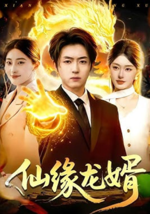 仙缘龙婿